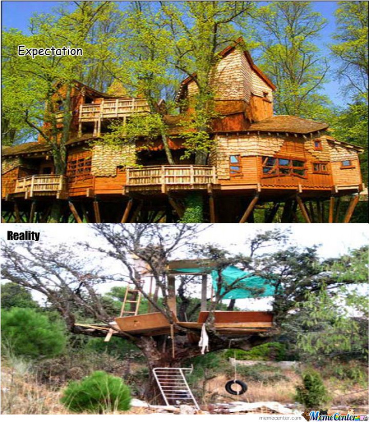 ngakak-ekspektasi-vs-realiti-bikin-rumah-pohon