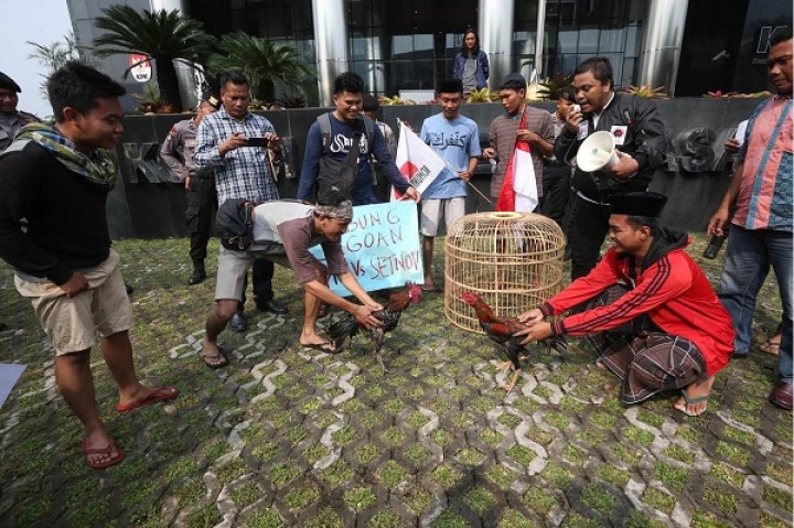 nggak-nyangka-anak-kos-ini-sabung-ayam-demi-pengeluaran