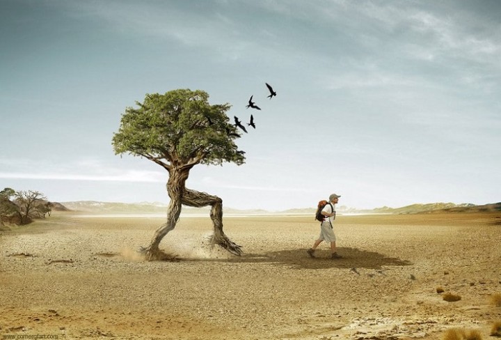 pohon-aja-move-on-masa-kamu-nggak-sih