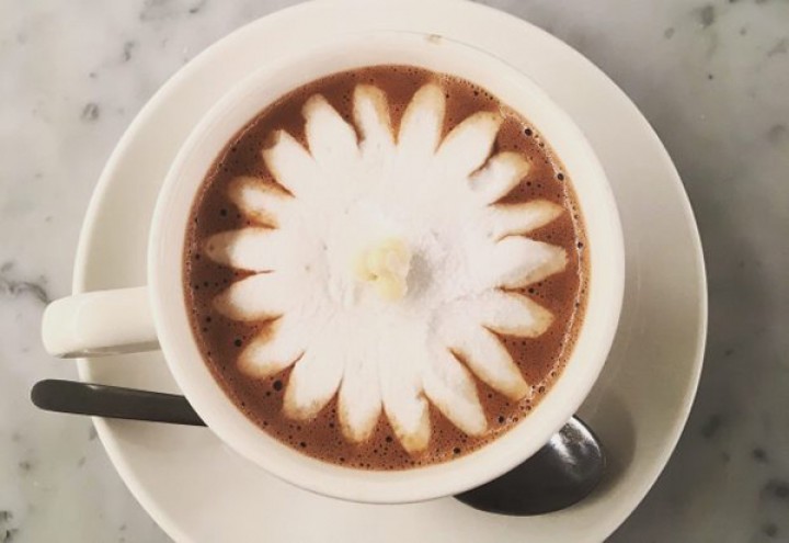 yang-kamu-nggak-tau-bunga-pun-bisa-bermekaran-di-atas-coklat-panas