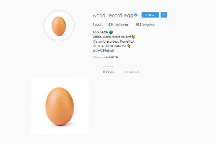 world_record_egg