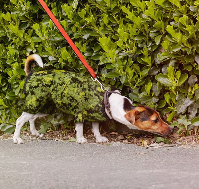 Sweater-Sweater Ini Matching Banget Sama Sekitarnya