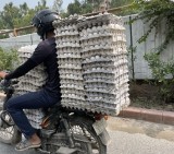 3-keanehan-yang-wajib-kamu-lihat