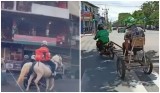 3-kendaraan-paling-juara-di-dunia-per-ojol-an