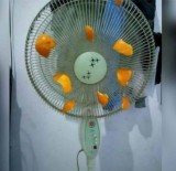 3-pengharum-ruangan-natural-wanginya-nyangkut-di-otak