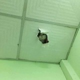 4-bencana-memanggang-ini-bikin-ketar-ketir