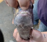 4-bukti-kalau-alam-nggak-bisa-diprediksi