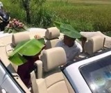 4-cara-berlindung-dari-panas-yang-agak-kebablasan