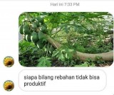 4-chat-absurd-paling-ga-jelas-tapi-ngakak-bacanya