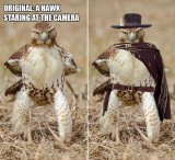 4-foto-editan-yang-orang-percaya-banget-itu-semua-asli