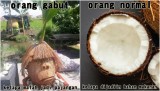 4-kegiatan-orang-normal-vs-orang-gabut-random-banget