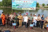 7-ribu-bibit-mangrove-ditanam-di-banyuwangi-pecahkan-rekor-muri