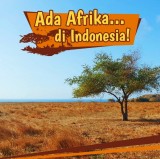 ada-afrika-di-indonesia