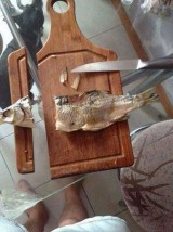 agak-dark-7-kejadian-absurd-di-dapur