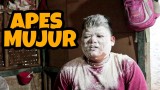apes-mujur