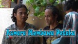 asmara-membawa-petaka