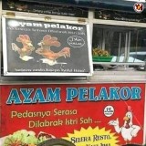 ayam-pelakor