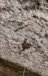 baud-kebelet-kencing