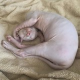 beginilah-jadinya-jika-mengambil-sebuah-foto-dengan-perspektif-membingungkan-bikin-kedap-kedip-mata