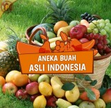 buah-buahan-asli-indonesia