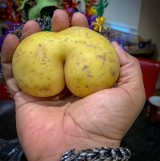 bukan-apa-apa-cuman-kumpulan-kentang-yang-punya-pantat