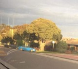 bukan-photoshop-foto-keren-momen-langka