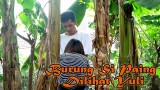 burung-si-paing-dilihat-yuli