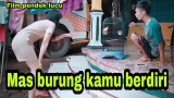burungnya-kok-berdiri