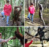 cara-kocak-traveler-tetap-bepergian-tanpa-meninggalkan-rumah