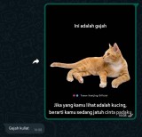 chat-orang-gagal-gombal-ini-bikin-jomblo-senyum-tipis
