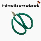 cowok-gendut