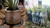 demam-tanaman-bikin-barang-barang-di-rumah-kena-mental