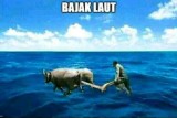 deretan-meme-pekerjaan-ini-dijamin-bikin-pusing-sendiri