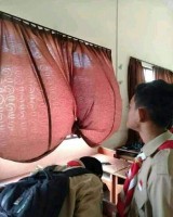 deretan-potret-benda-ini-bisa-bikin-otak-kamu-traveling-ngakak