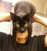 deretan-potret-kocak-saat-cosplay-jadi-batman-ini-dijamin-bikin-ngakak