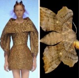 desain-kostum-kocak-yang-terinspirasi-dari-serangga-ini-bikin-ngakak