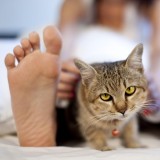 dipaksa-cium-kaki-baunya-kaya-terasi-basi