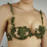 fashion-dari-tumbuh-tumbuhan-yang-bakal-bikin-kamu-bilang-wow