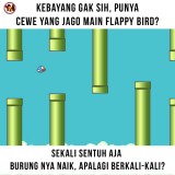 flappy-bird