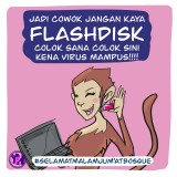 flashdisk