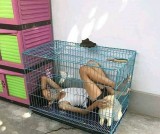 foto-kocak-orang-tidur-bareng-benda-kesayangannya-ini-bikin-geleng-geleng-kepala