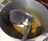 gaya-nyeleneh-orang-kasih-makan-hewan-ini-bikin-geleng-geleng-kepala