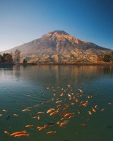 hits-di-instagram-gunung-fuji-ala-temanggung-jawa-tengah