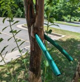 kalau-alam-sudah-nge-prank-kamu-cuma-bisa-melongo