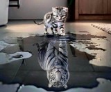 kalau-cuma-lihat-penampilan-fisik-selamanya-kamu-akan-tertipu