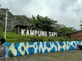 kampung-susu-dynasty-wisata-edukasi-di-tulungagung