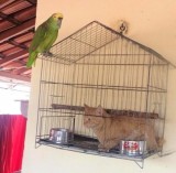 kayanya-di-5-gambar-ini-ada-yang-nggak-bener-deh-yang-mana-coba