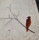 kejadian-nggak-sengaja-yang-berakhir-indah