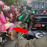kelakuan-driver-ojol-di-lampu-merah-yang-kocak-dan-bikin-ngakak