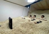 kelakuan-kocak-bapak-bapak-saat-nonton-tv-ini-enggak-habis-pikir-bikin-ngakak